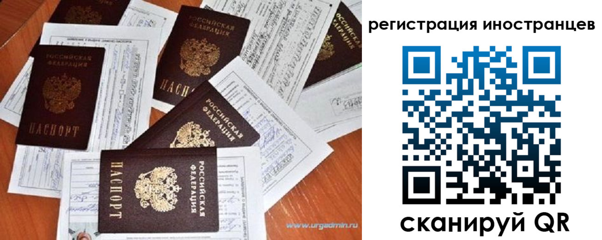 временная регистрация гарантия в Гатчине